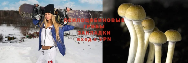 каннабис Аркадак