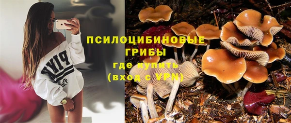 дурь Арсеньев