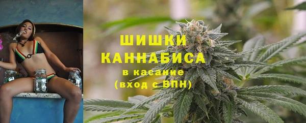 дурь Арсеньев